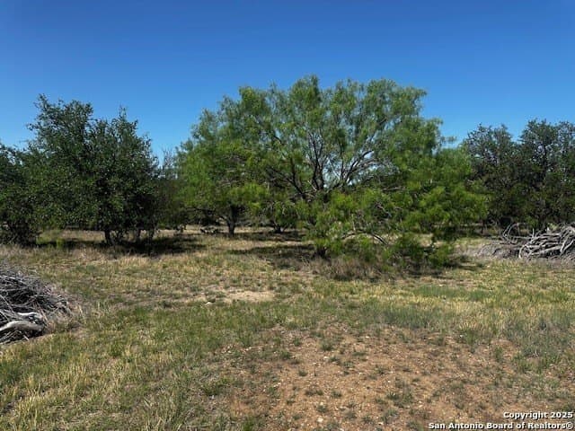 4,000 acres in Real County - photo 19