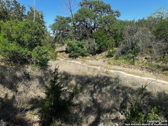 4,000 acres in Real County - photo 14
