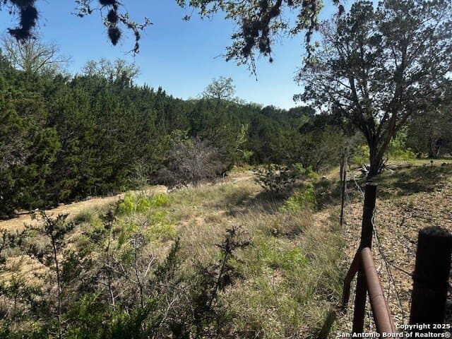4,000 acres in Real County - photo 15