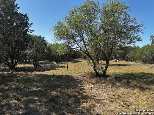 4,000 acres in Real County - photo 20
