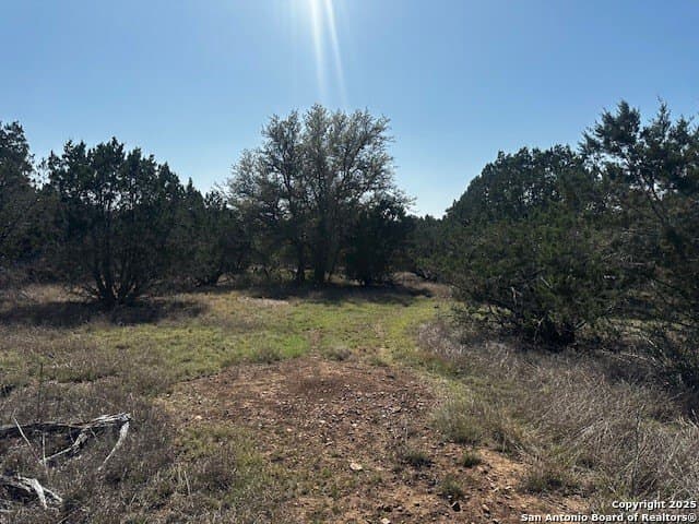 4,000 acres in Real County - photo 21