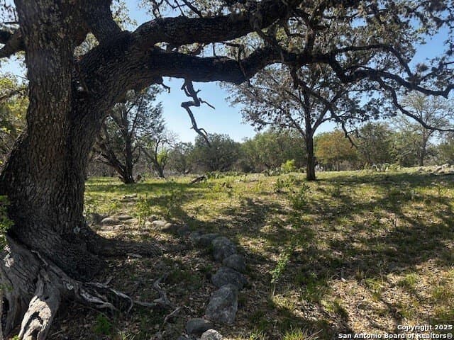 4,000 acres in Real County - photo 16