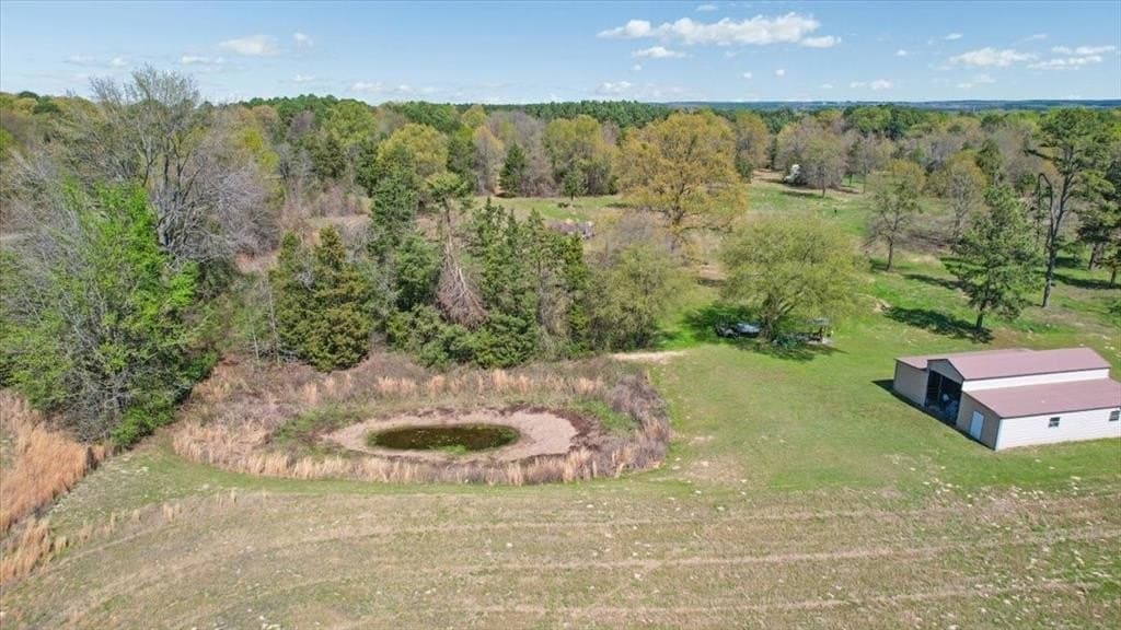 21.68 acres in Titus County - photo 31