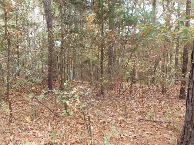 1.72 acres in Texas County - photo 4