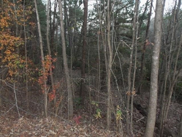 1.72 acres in Texas County - photo 2