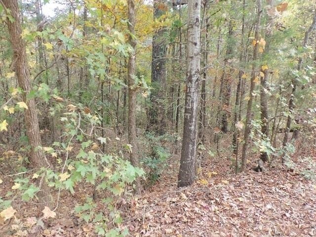 1.72 acres in Texas County - photo 3
