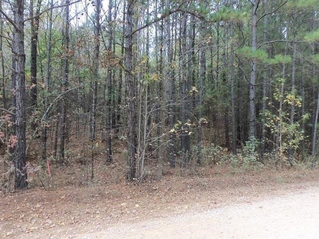 1.72 acres in Texas County - photo 5