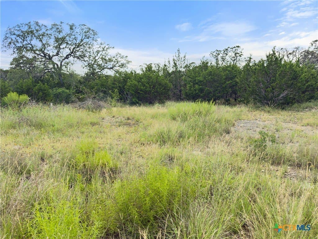 1.22 acres in Comal County - photo 6