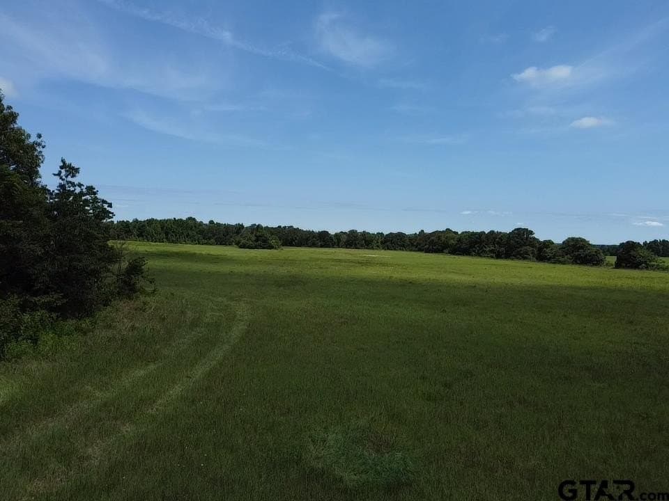 14.16 acres in Wood County - photo 25