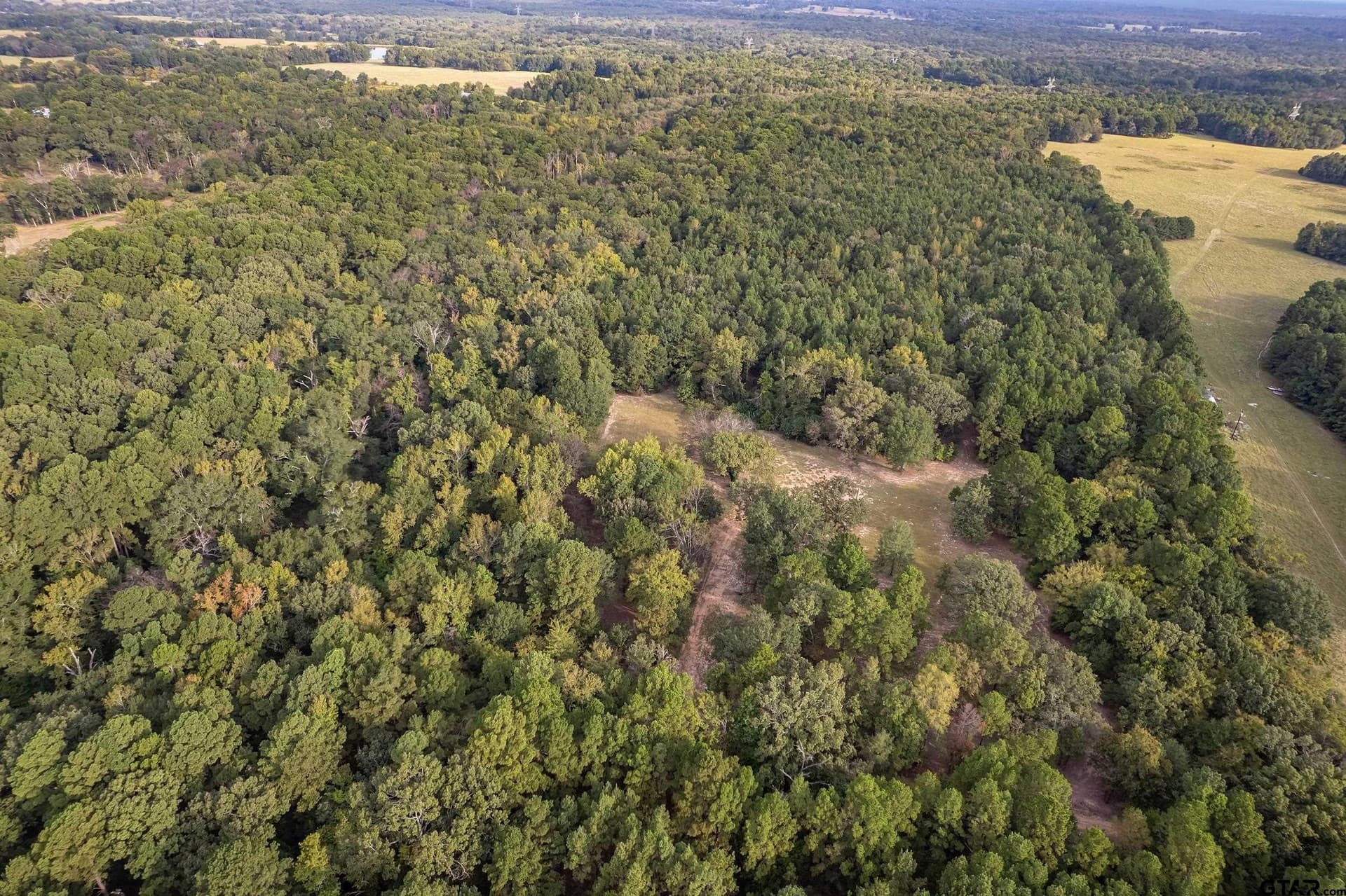 32 acres in Smith County - photo 3
