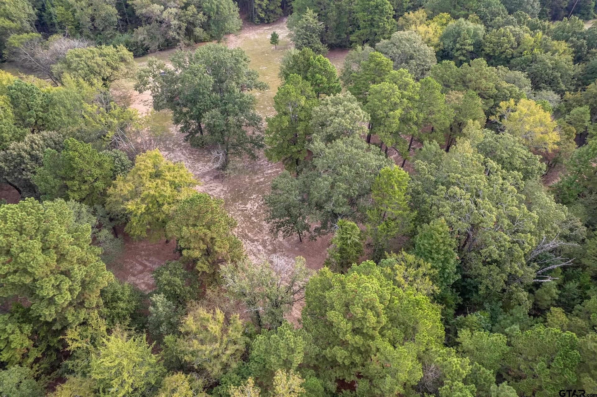 32 acres in Smith County - photo 22