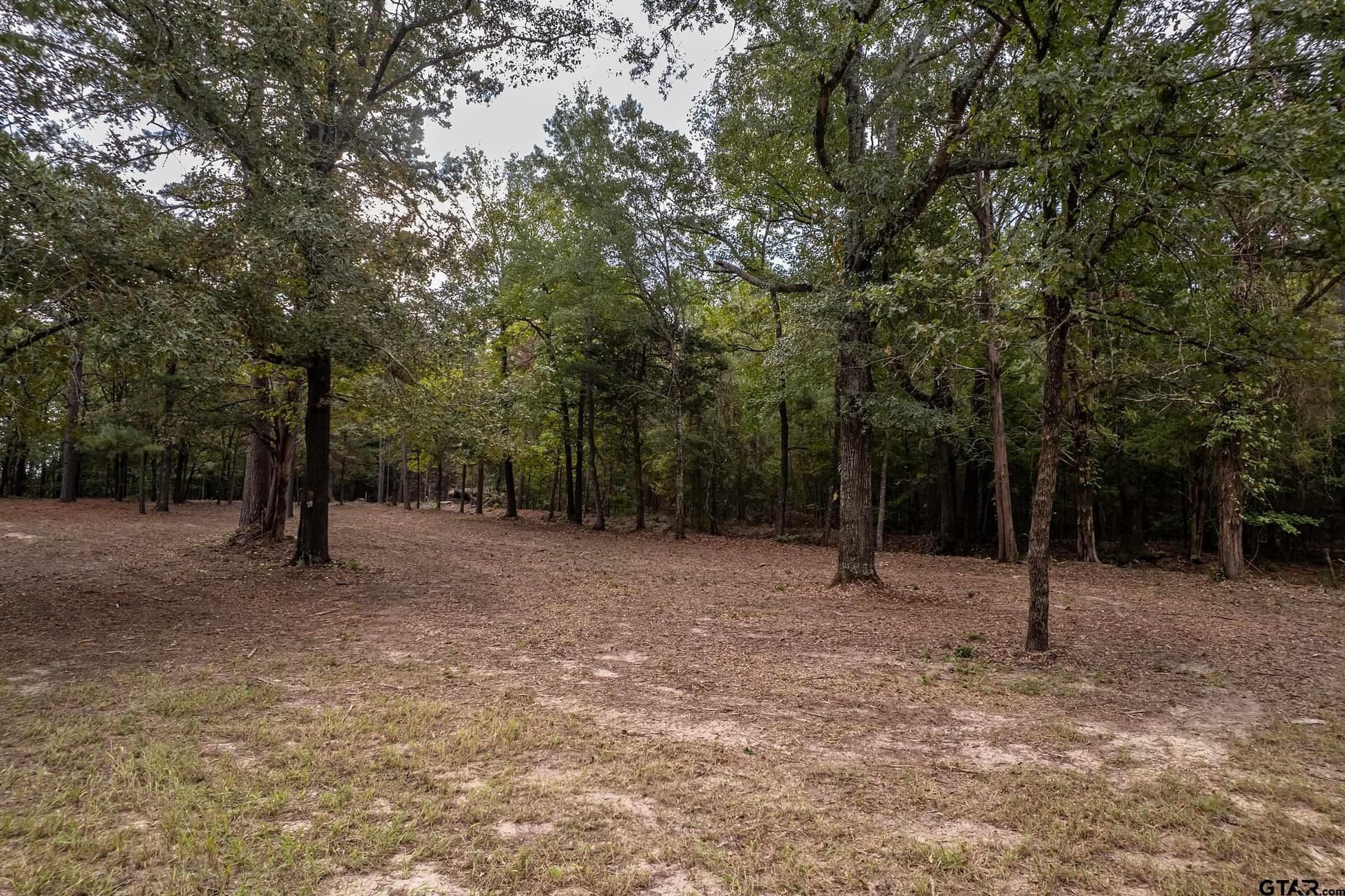 32 acres in Smith County - photo 18