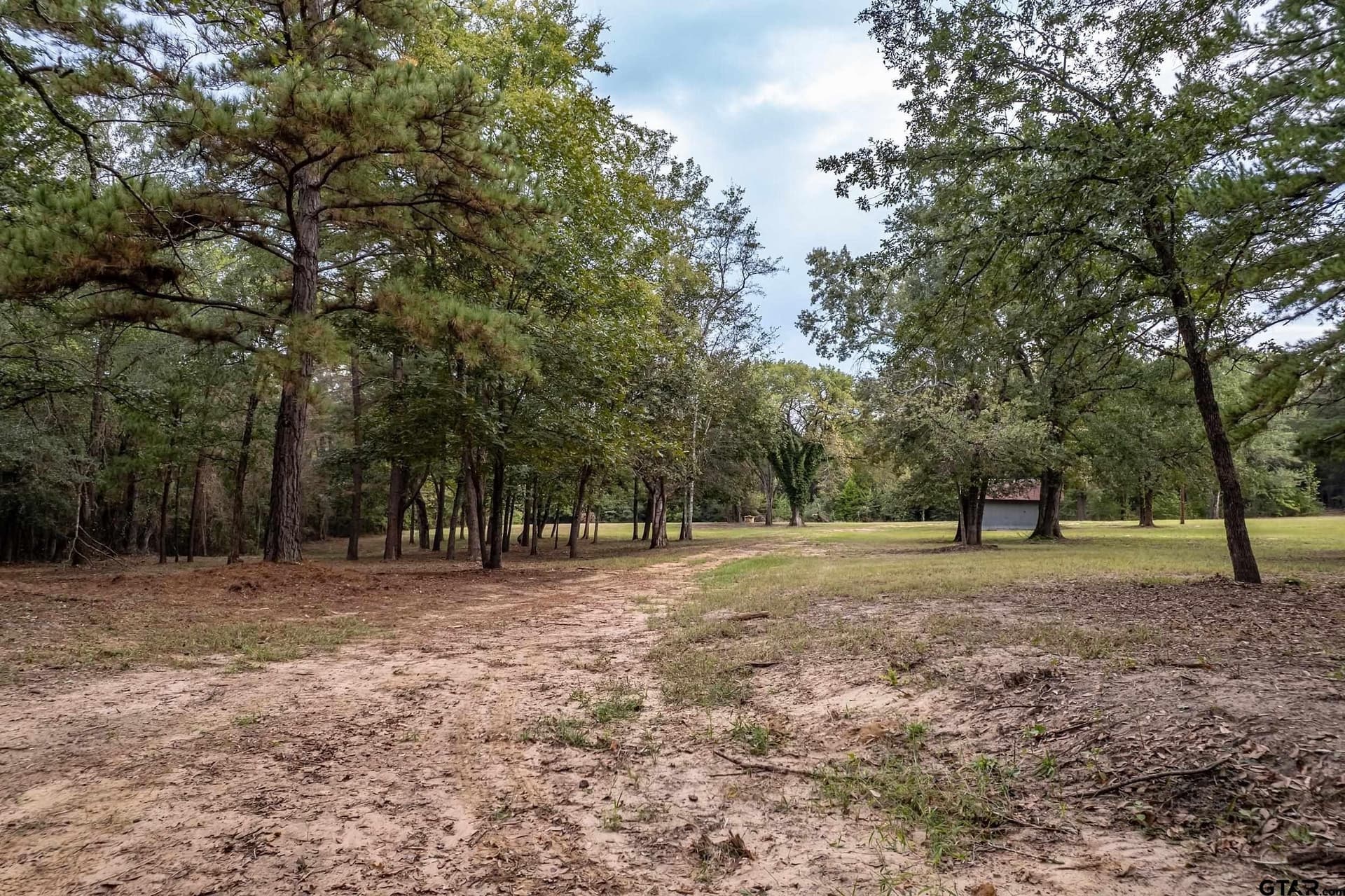 32 acres in Smith County - photo 11