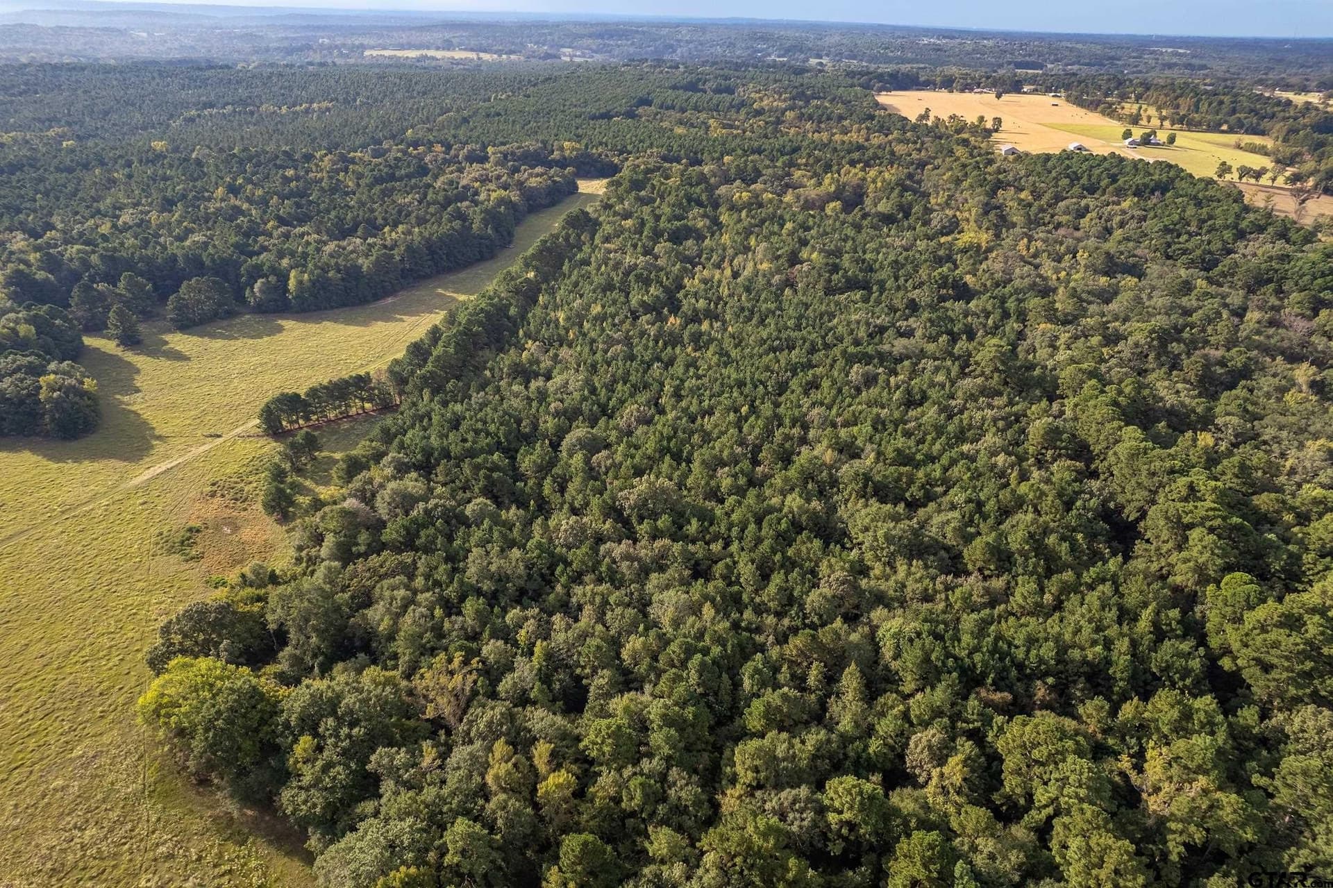32 acres in Smith County - photo 25