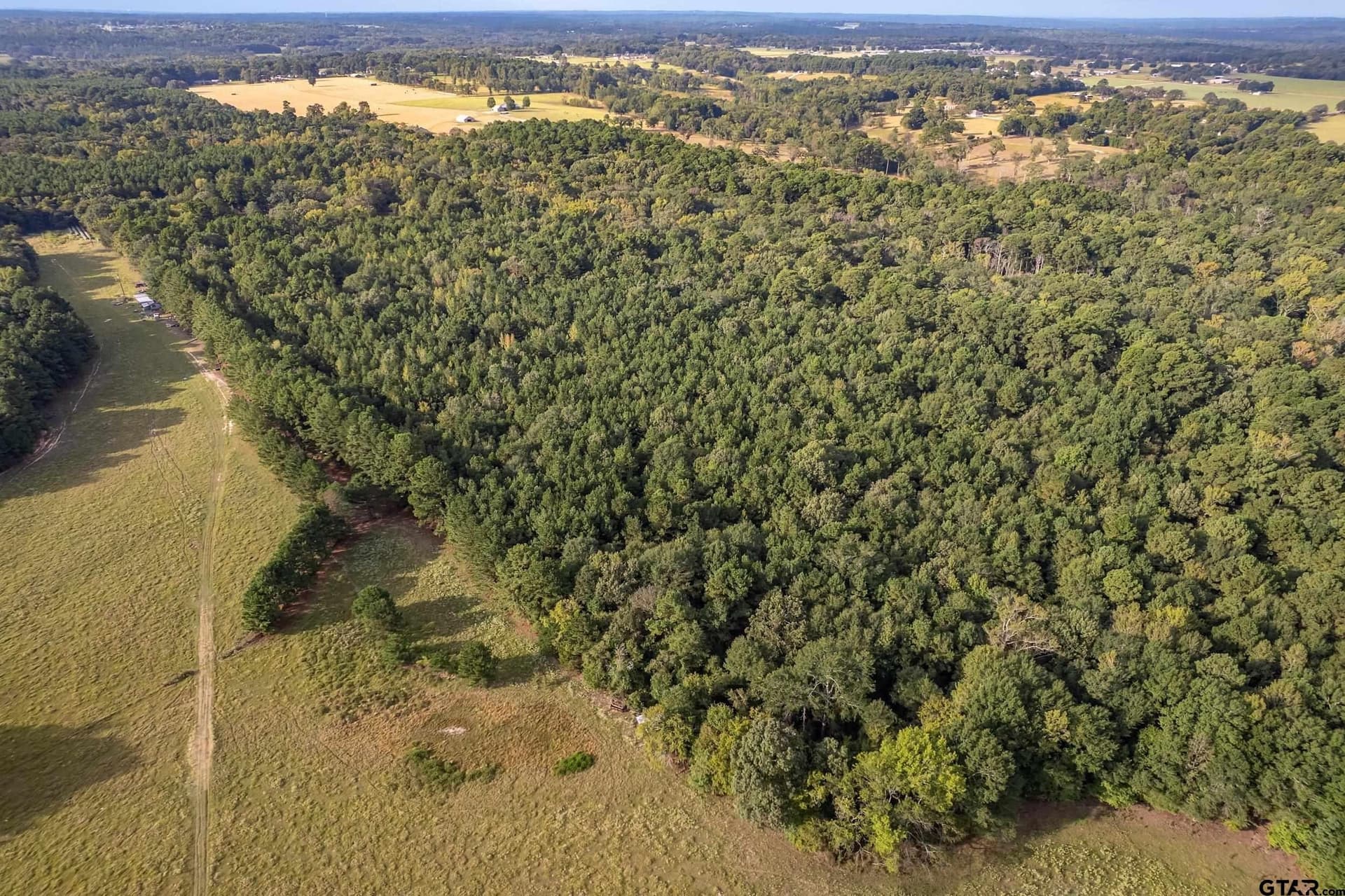 32 acres in Smith County - photo 24
