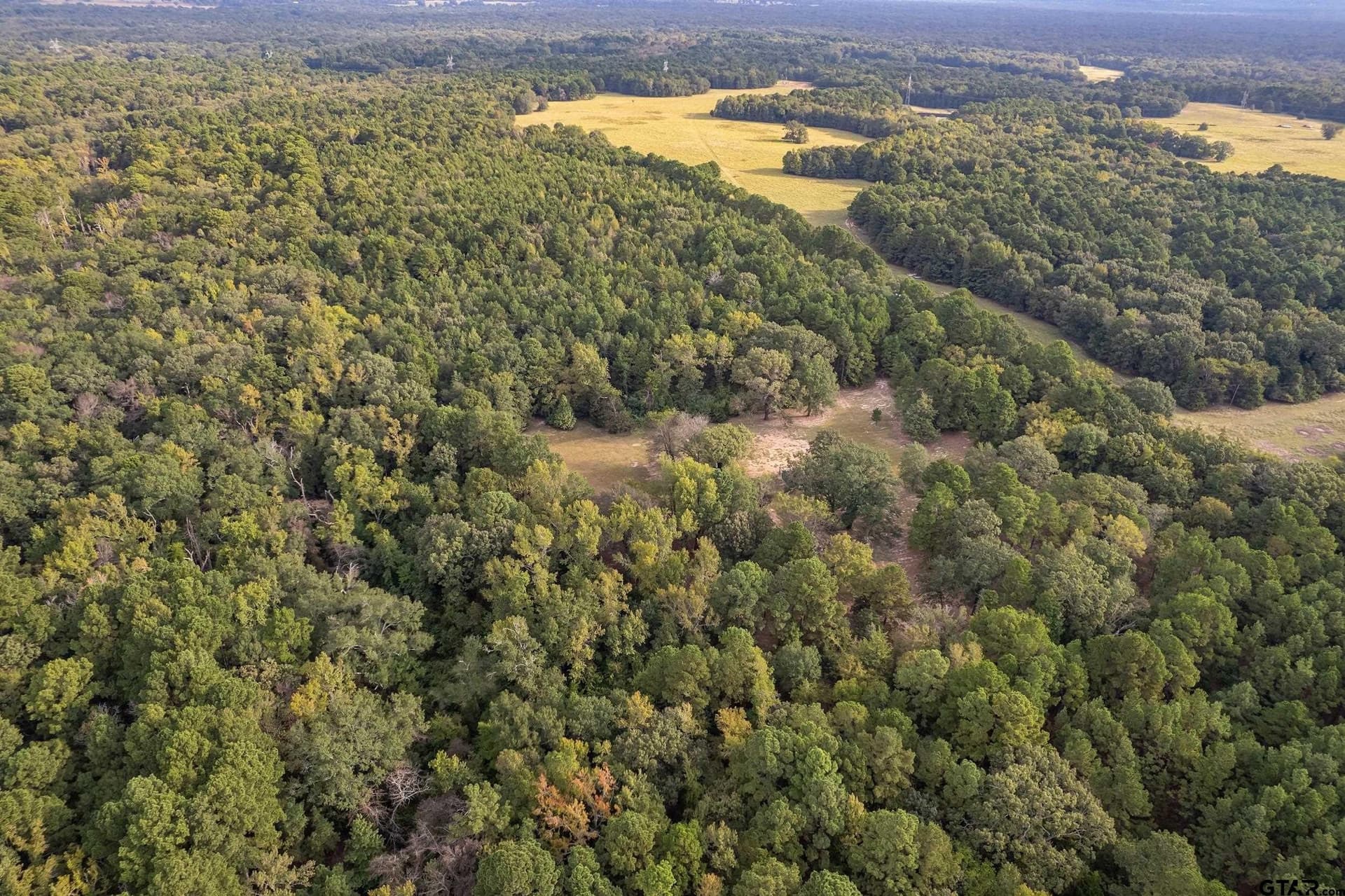 32 acres in Smith County - photo 23