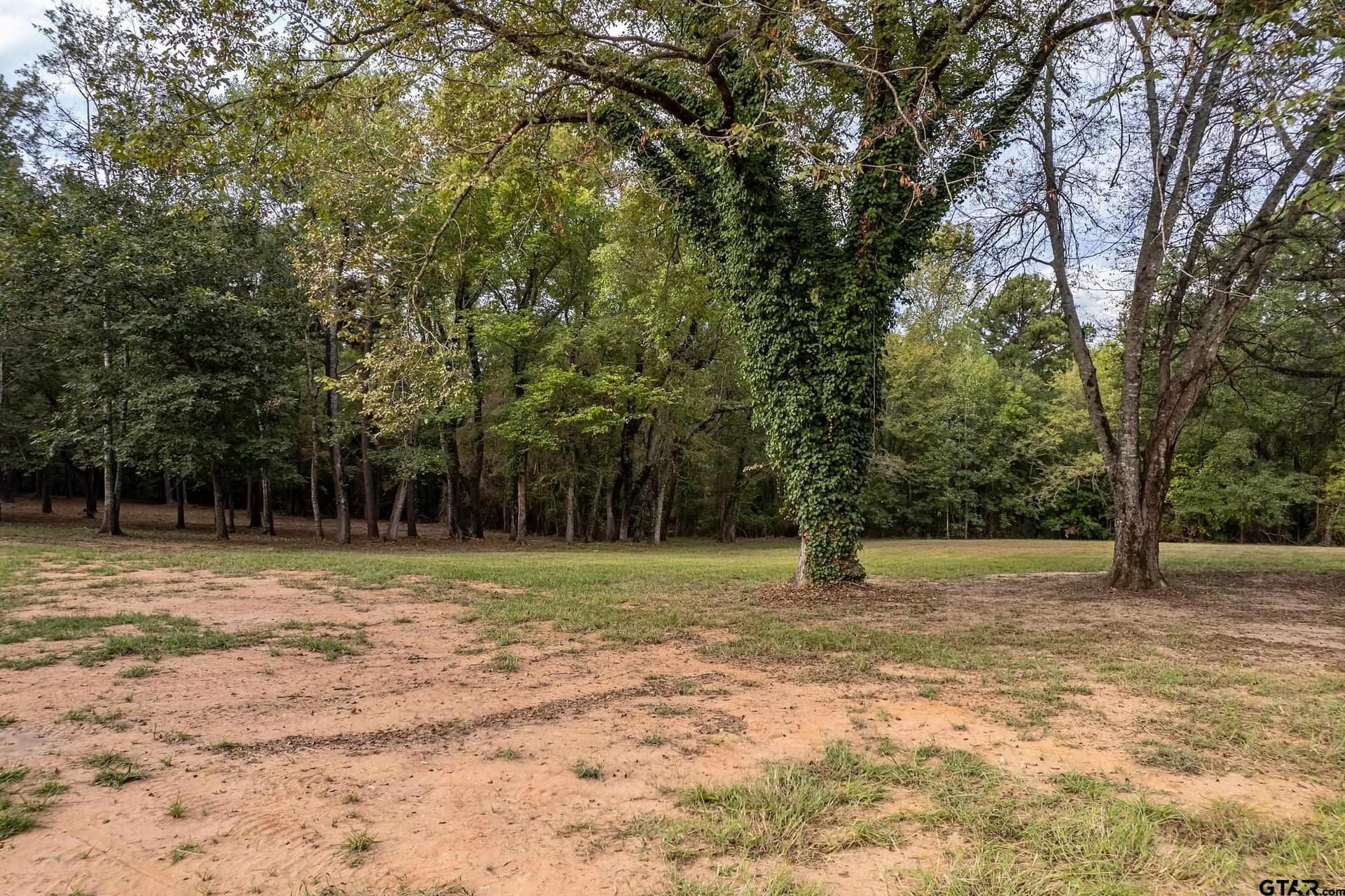 32 acres in Smith County - photo 5