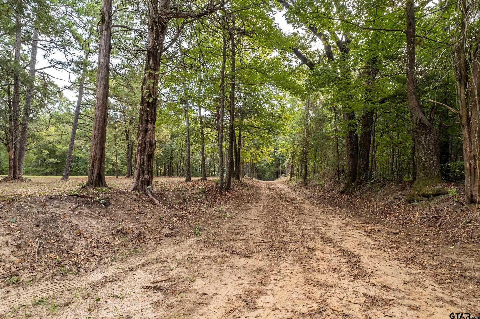 32 acres in Smith County - photo 4