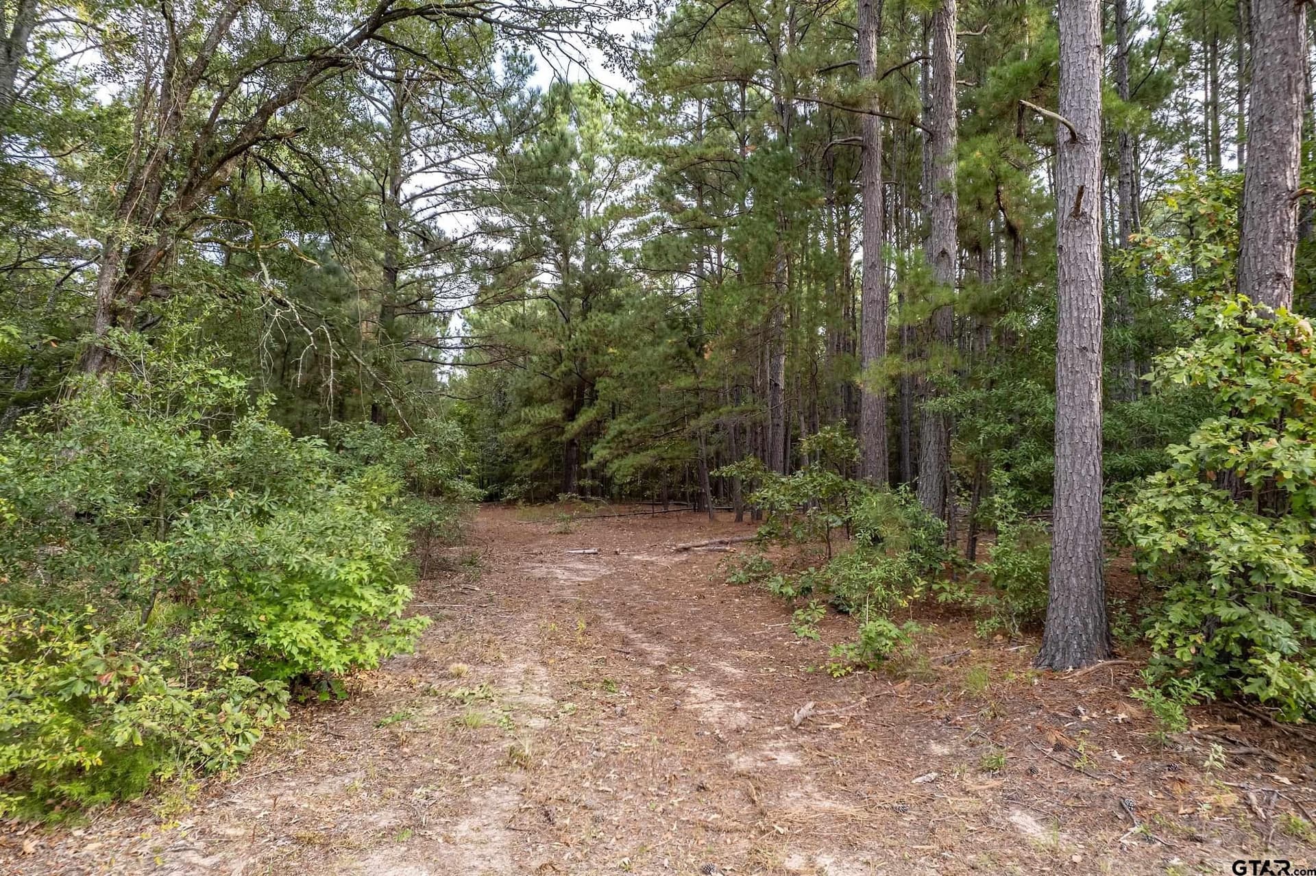 32 acres in Smith County - photo 19