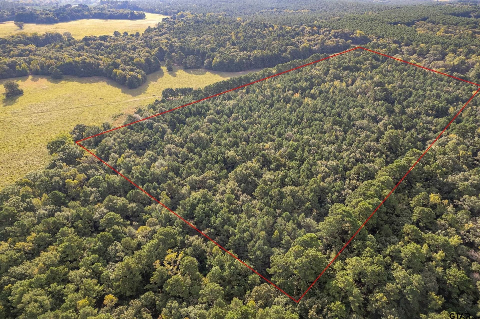 32 acres in Smith County - photo 2