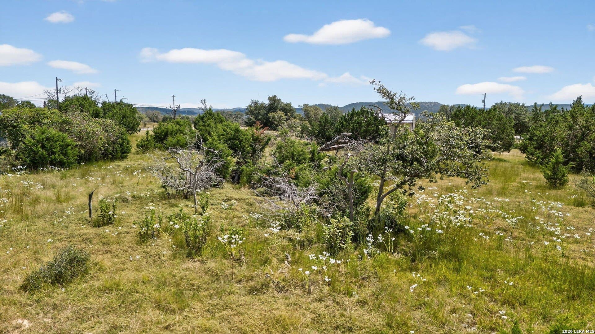3 acres in Kendall County - photo 23