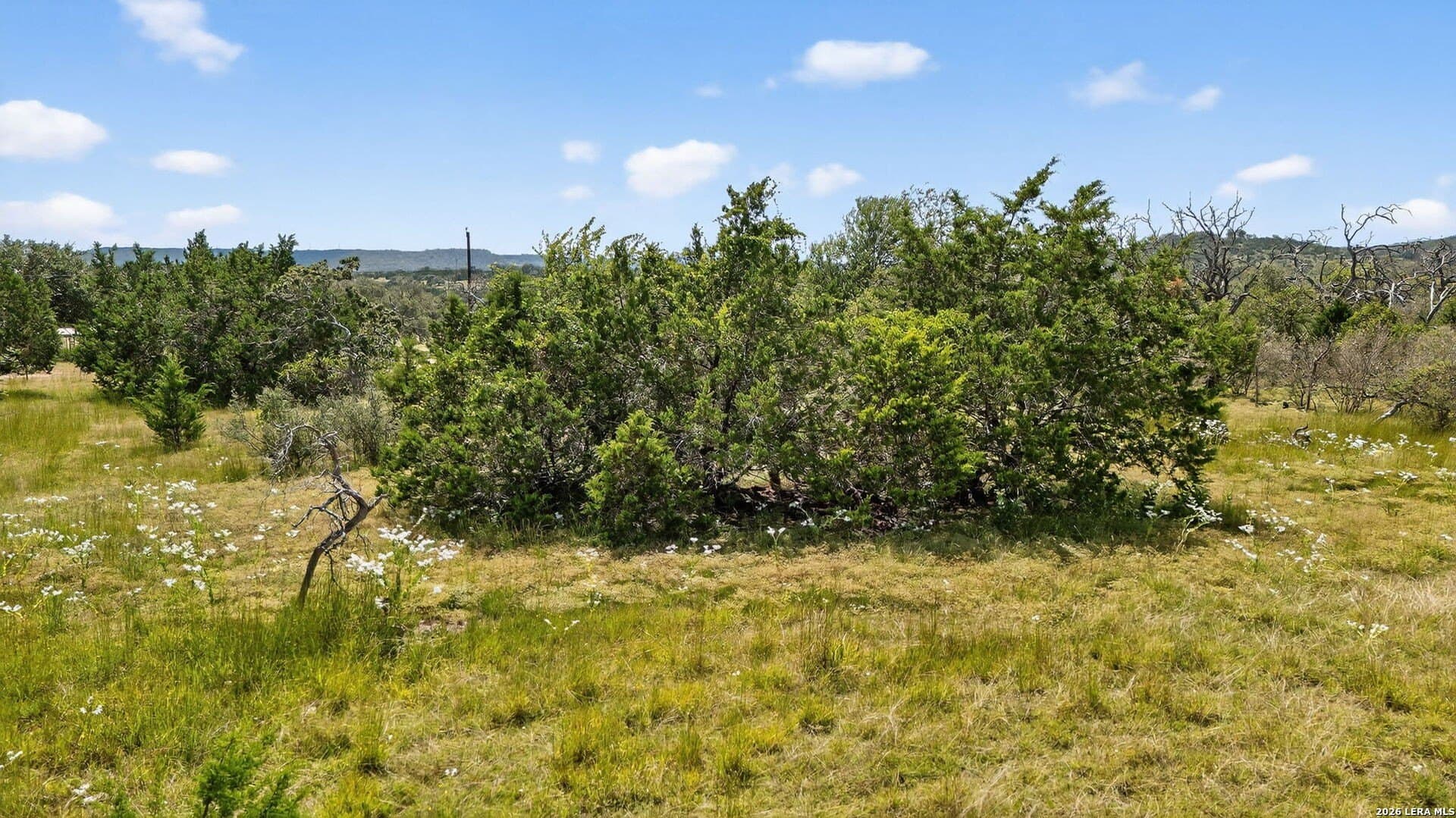 3 acres in Kendall County - photo 22