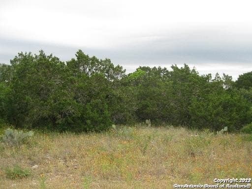 5.23 acres in Medina County - photo 5