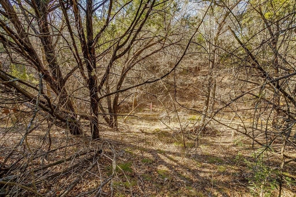 1.35 acres in Somervell County - photo 9