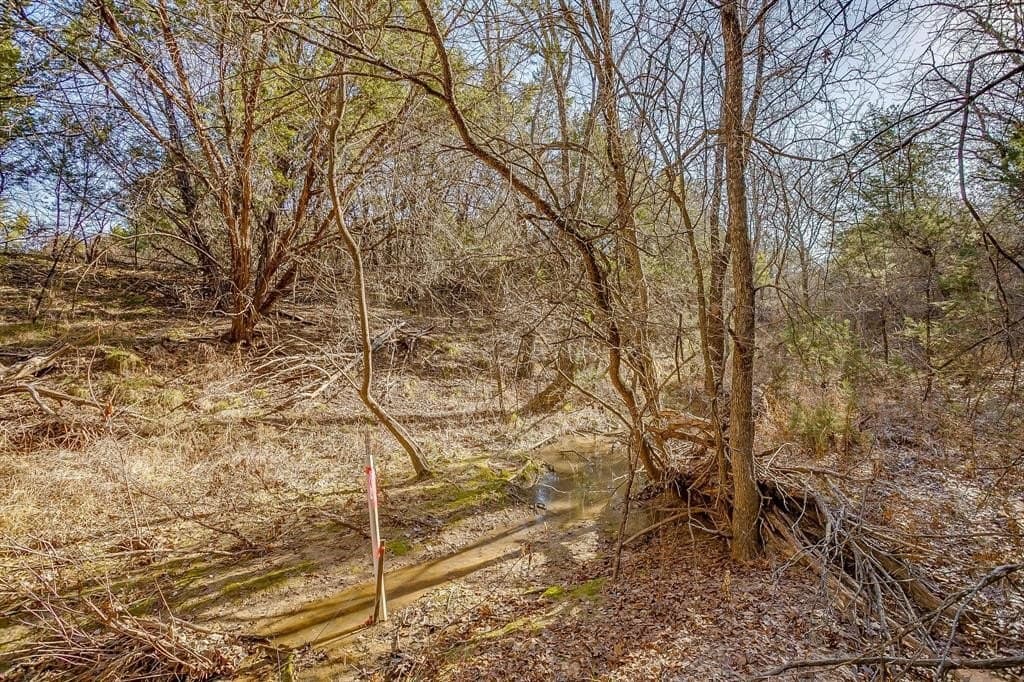 1.35 acres in Somervell County - photo 22