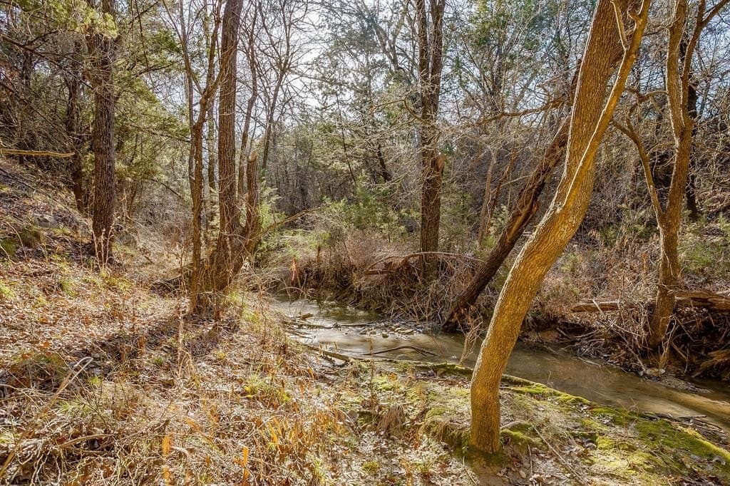 1.35 acres in Somervell County - photo 21