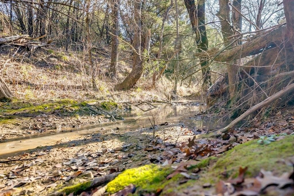 1.35 acres in Somervell County - photo 26