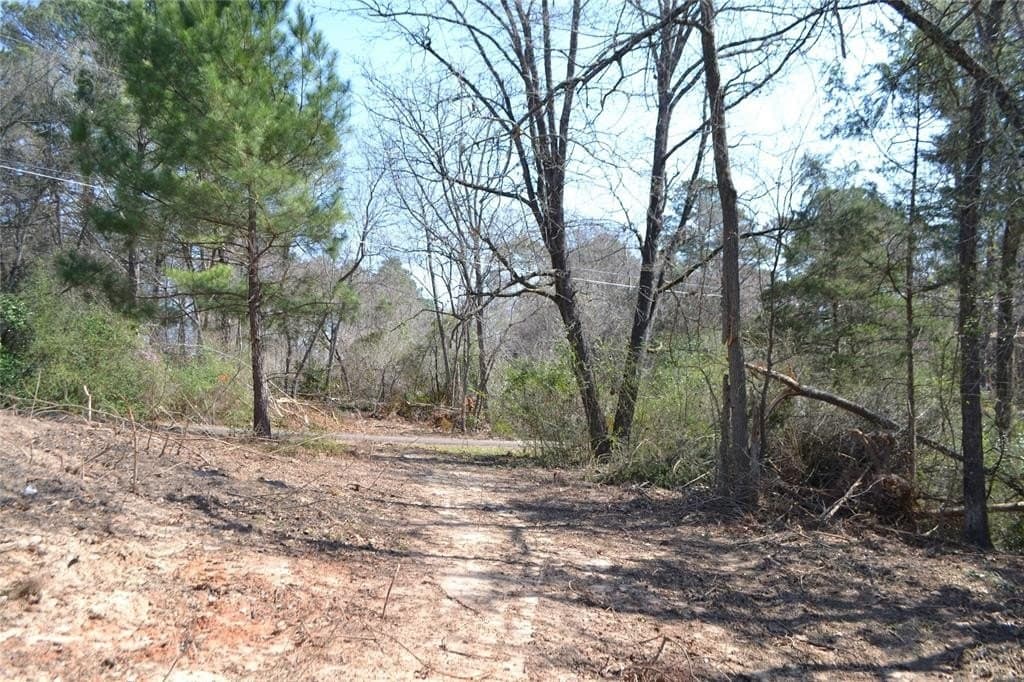0.48 acres in Wood County - photo 8