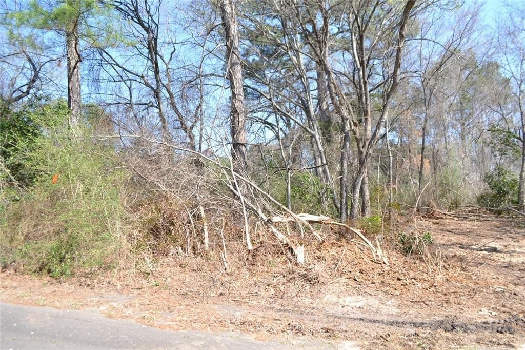 0.48 acres in Wood County - photo 16