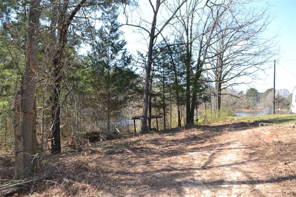 0.48 acres in Wood County - photo 14