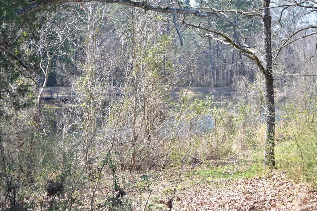 0.48 acres in Wood County - photo 13