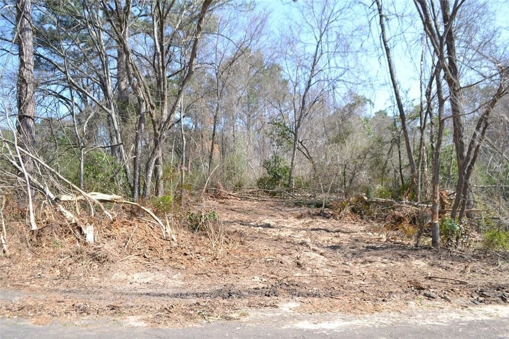 0.48 acres in Wood County - photo 18