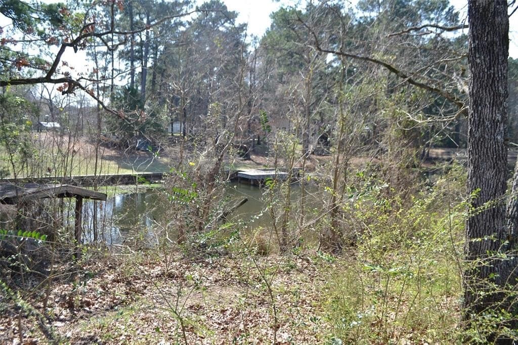 0.48 acres in Wood County - photo 4