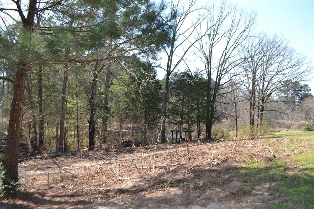 0.48 acres in Wood County - photo 2