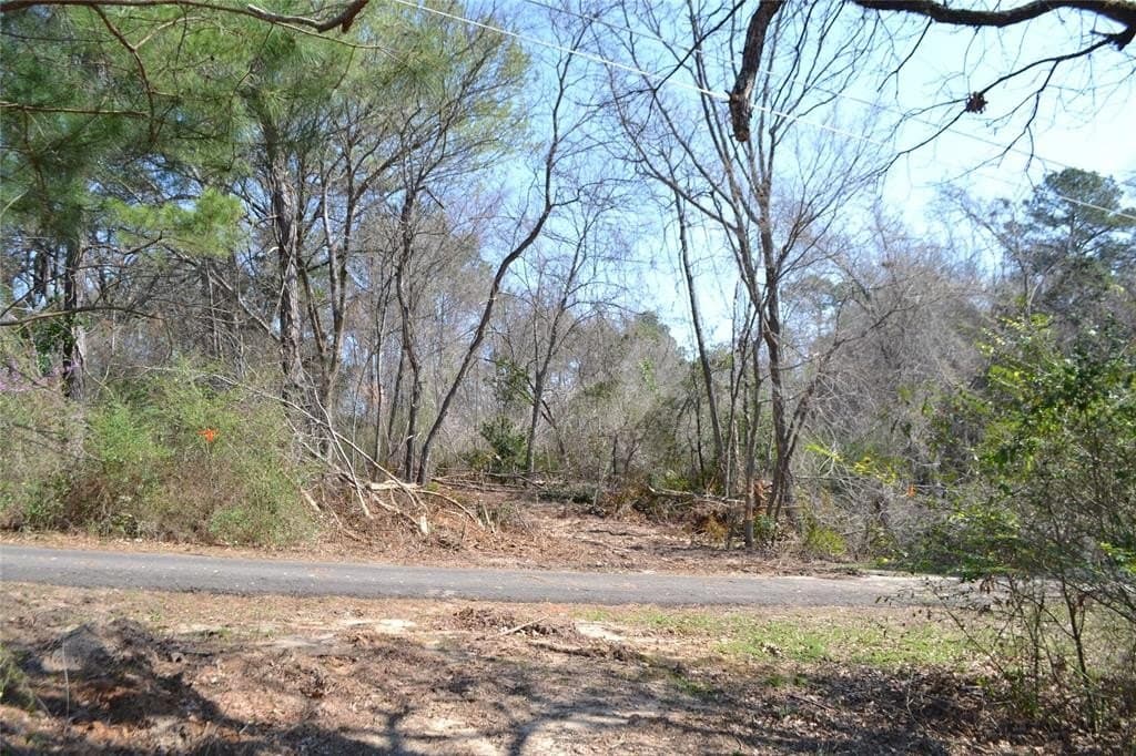 0.48 acres in Wood County - photo 7