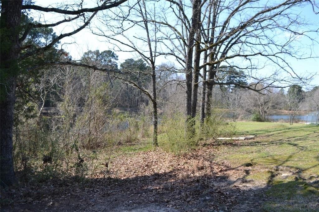 0.48 acres in Wood County - photo 12