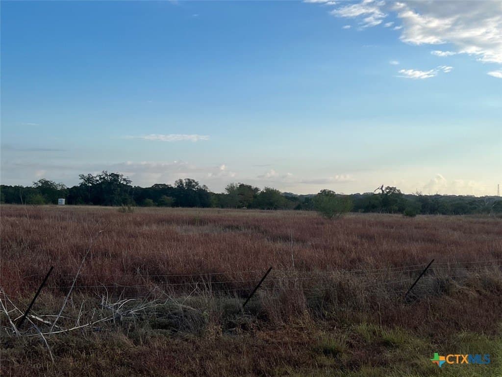 45 acres in Colorado County - photo 4