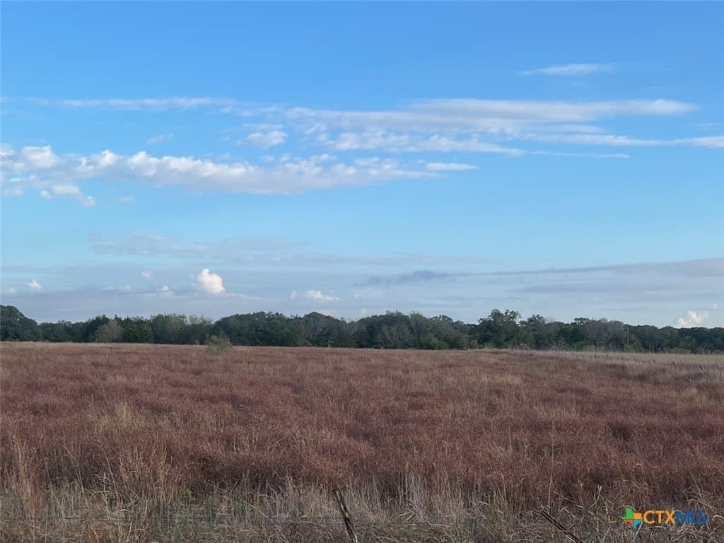 45 acres in Colorado County - photo 3