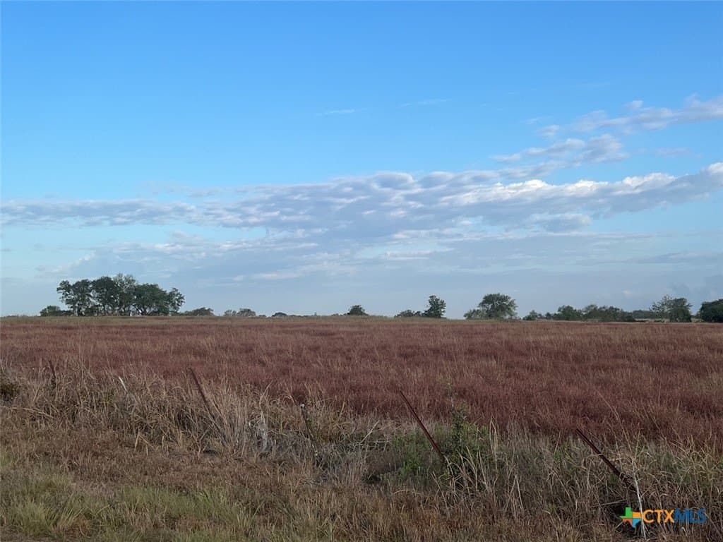 45 acres in Colorado County - photo 2