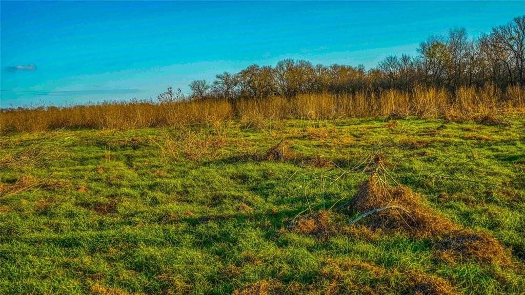 36 acres in Bell County - photo 34