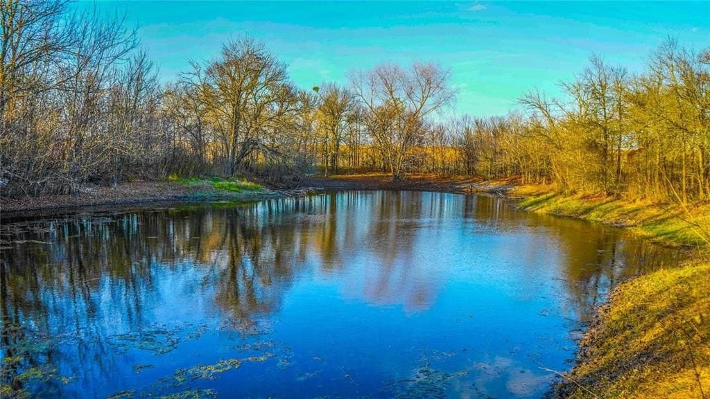 36 acres in Bell County - photo 27