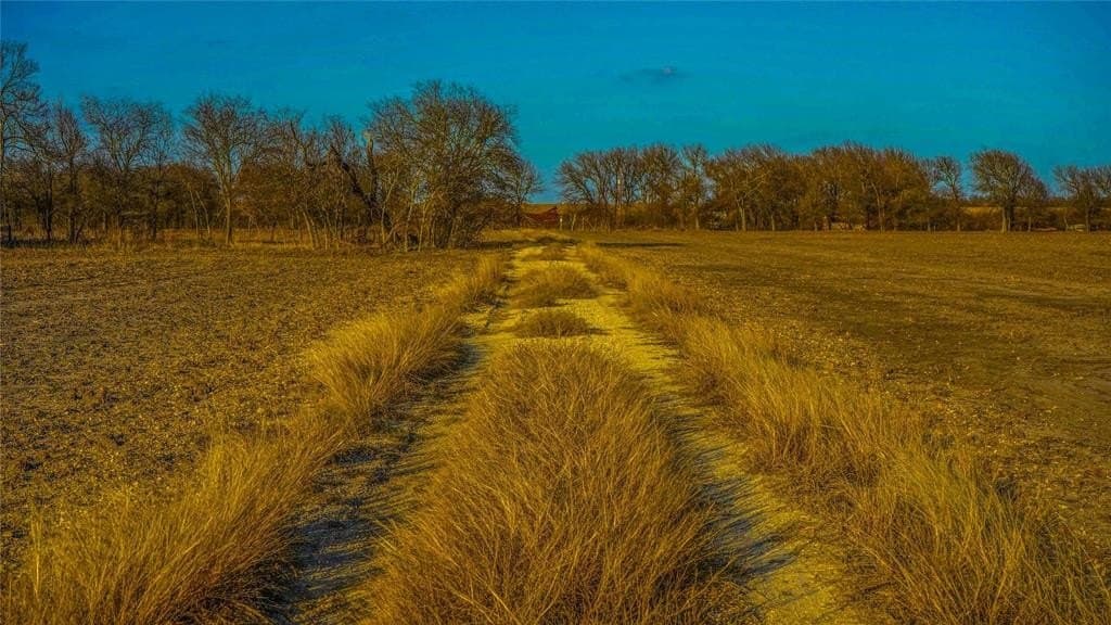 36 acres in Bell County - photo 18