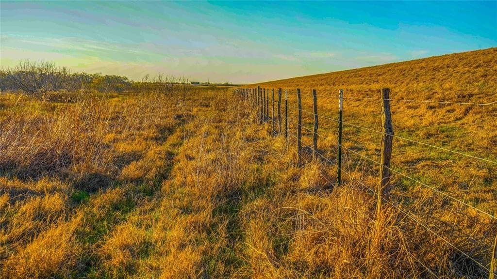 36 acres in Bell County - photo 6