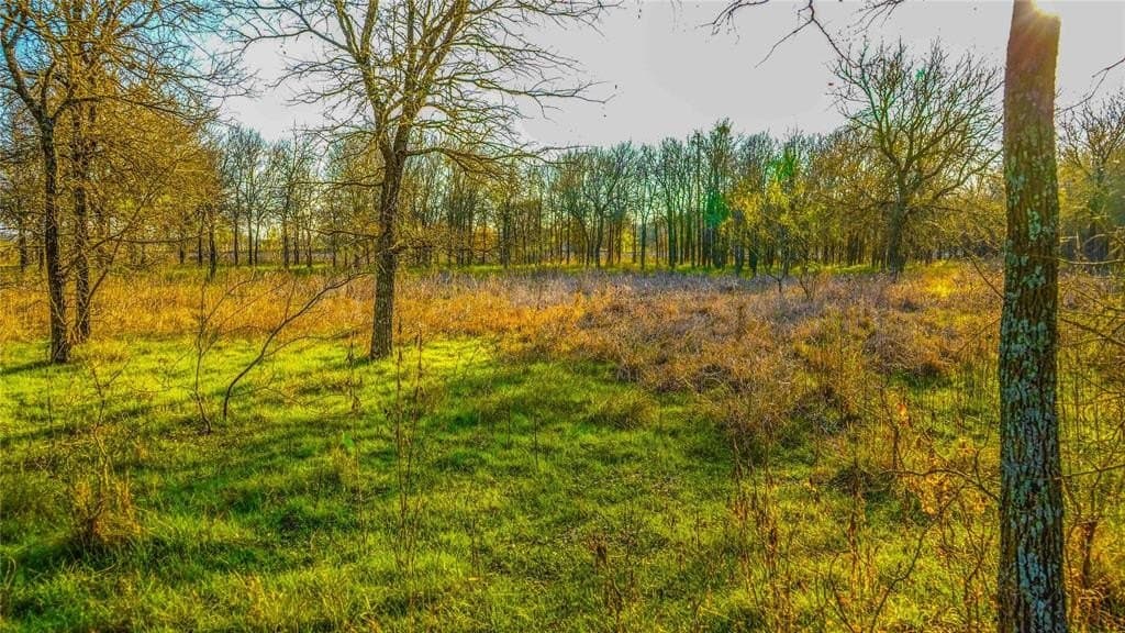 36 acres in Bell County - photo 25