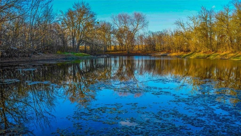 36 acres in Bell County - photo 28