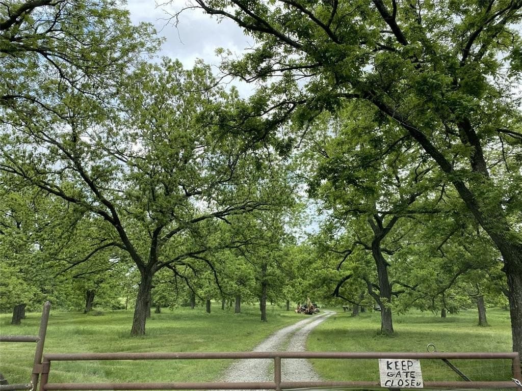 28.1 acres in Cooke County - photo 2